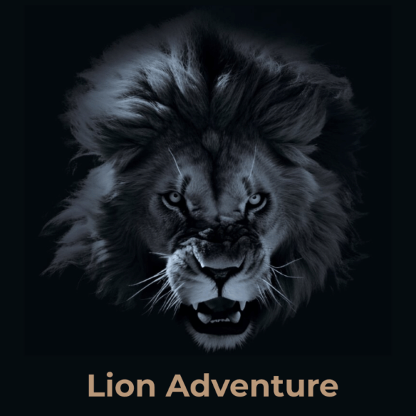 Lion Adventure